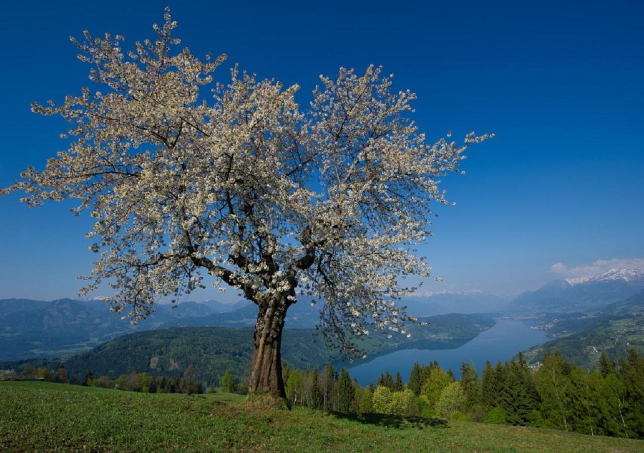 Konzept Schmiede Seeboden am Millstätter See